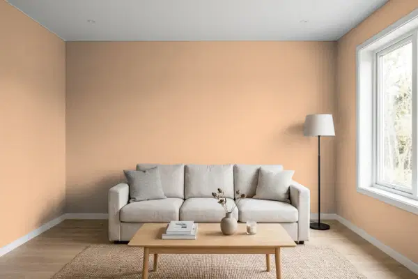 Living room with walls painted Valspar Cosy Chair 2007-8A (simulated)