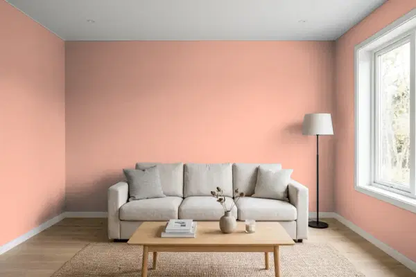 Living room with walls painted Benjamin Moore Salmon Mousse 046 (simulated)